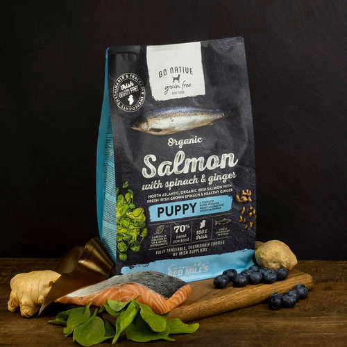 GO NATIVE PUPPY SAUMON EPINARD GINGEMBRE 12kg